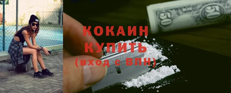 Cocaine FishScale  что такое   KRAKEN tor  Советская Гавань 